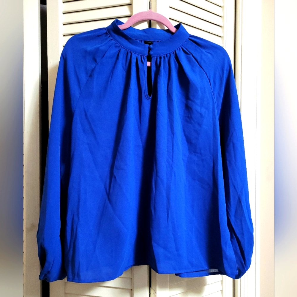 Brand New Royal Blue Long Sleeve Top